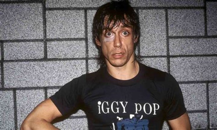 Iggy Pop Net Worth, Age, Height, Wife, Family, Wiki 2024